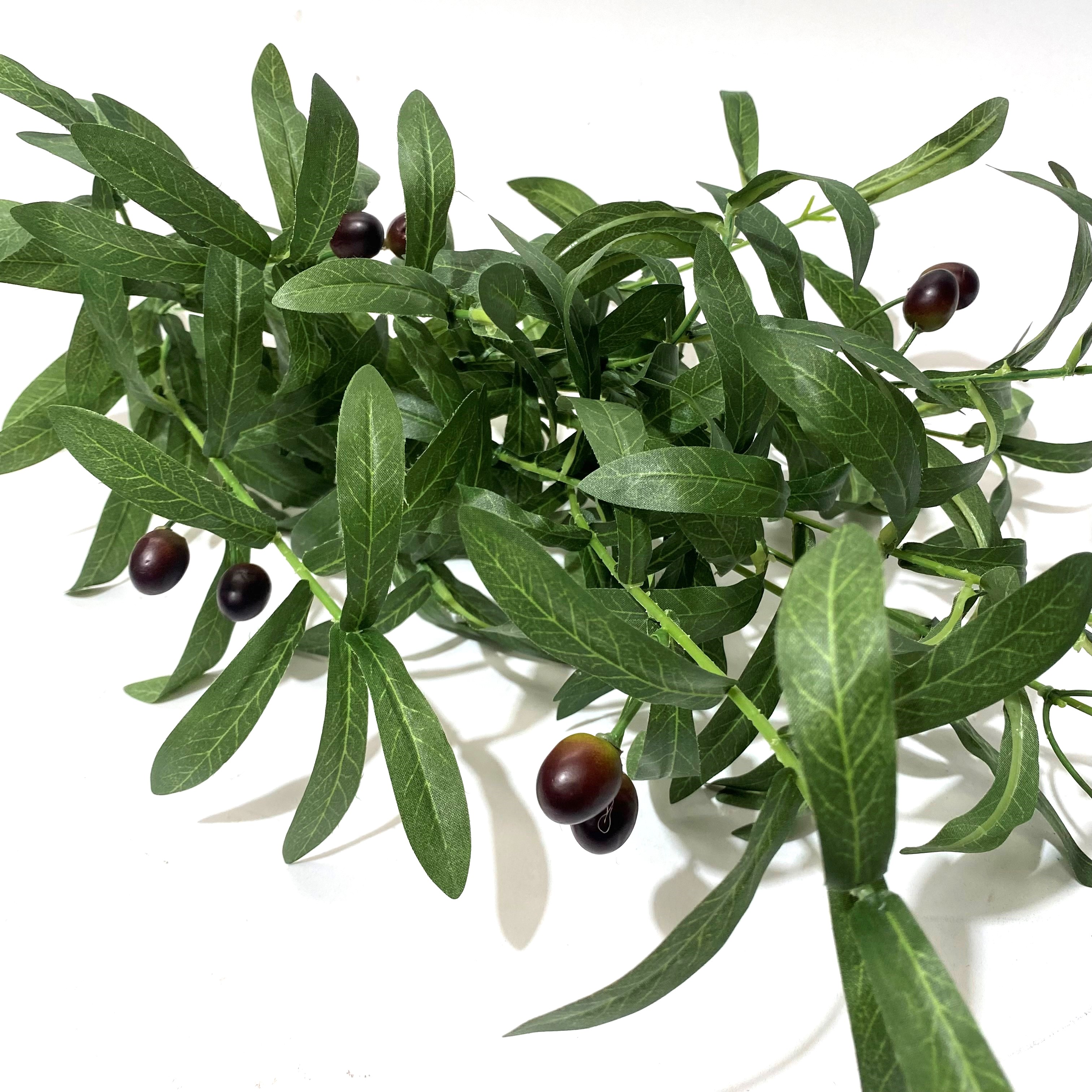 FOLIAGE, Olive Stem